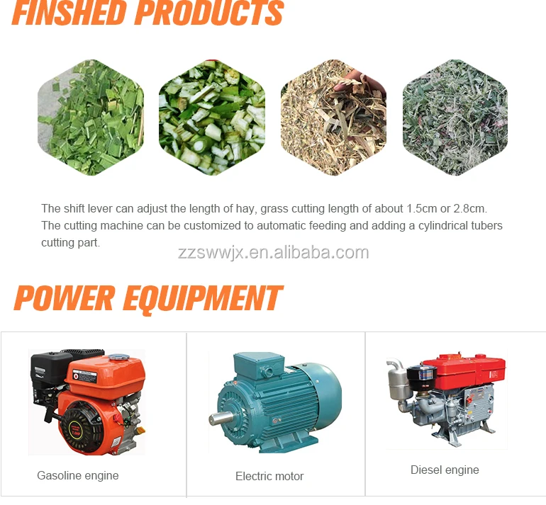 philippine corn silage