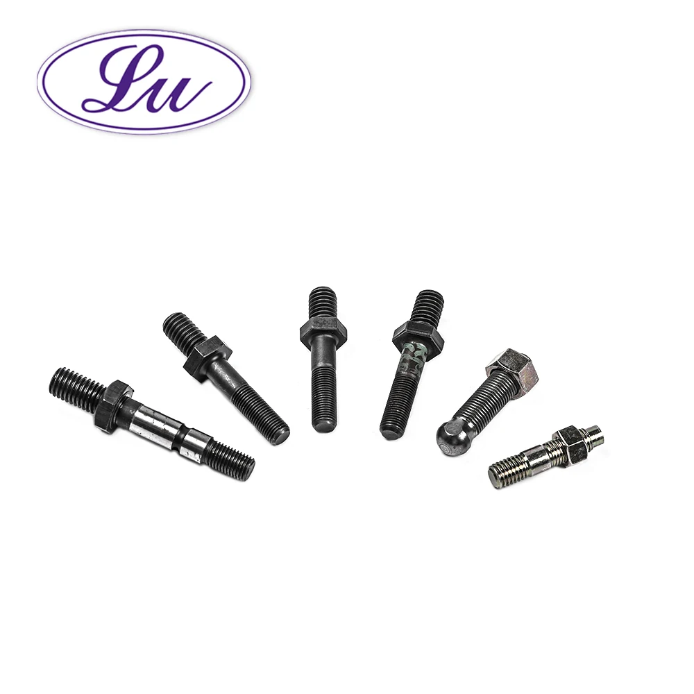 We Can do anything special head screw adjustable screw lag screw