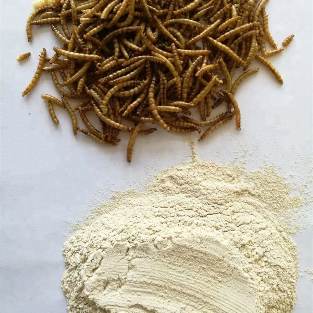 
Dried mealworms for poultry and livestock dried tenebrio molitor bird food pets food bird meal pets meal 