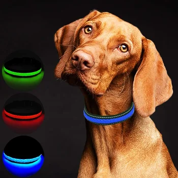 nylon buckle dog collars