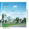 6m 8m 10m fancy outdoor street light pole