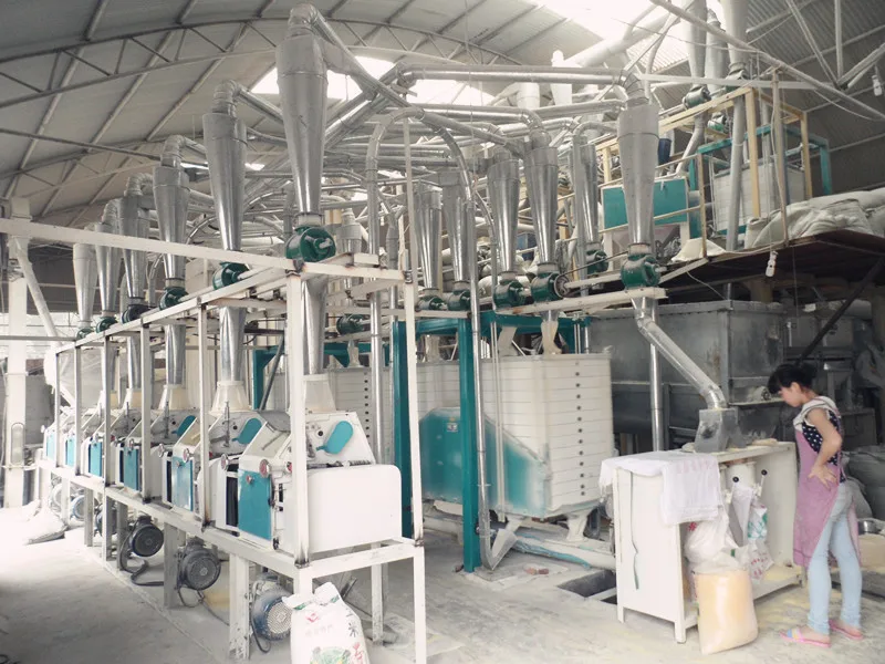 Bangladesh 20ton Wheat/maida Flour Mill Machine,Wheat Milling Machinery Price Buy Wheat Flour