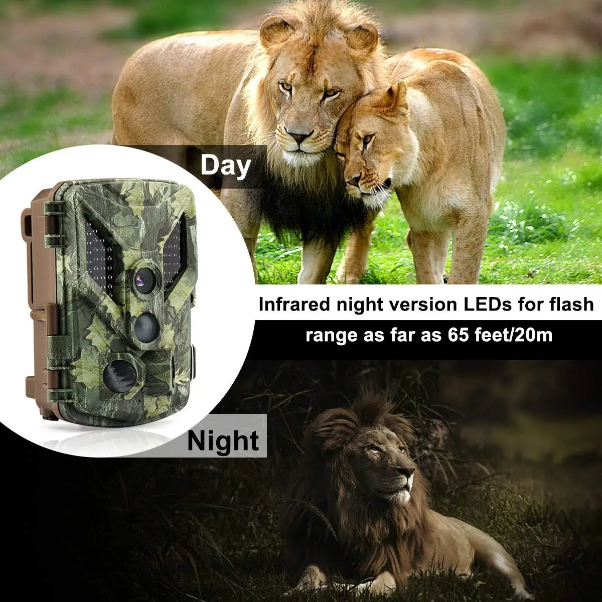 Trail hunting Camera2.jpg