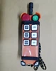 AC220V Multi-channel forest winch radio wireless remote control