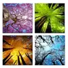 4 Panels Canvas Wall Art Spring Summer Autumn Winter Four Seasons Landscape Color Tree Painting Picture Prints Modern Giclee Art