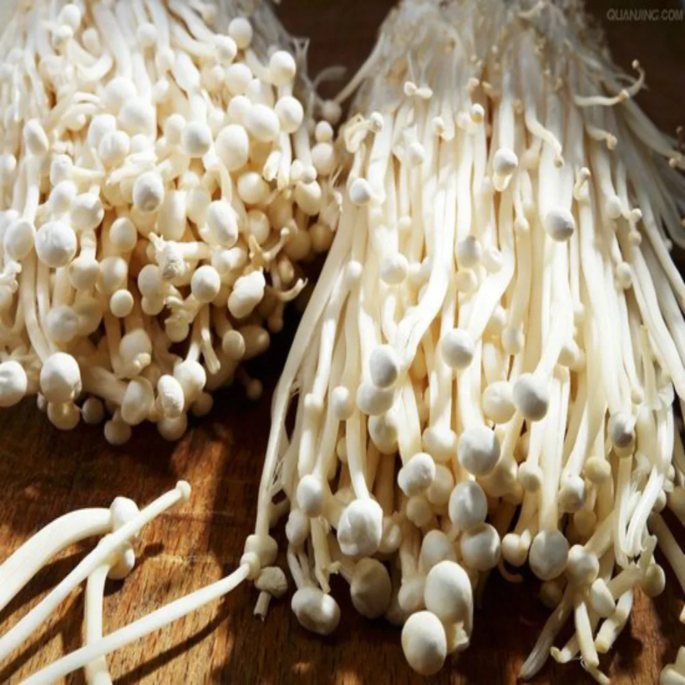 
Chinese farm supple fresh Enoki mushroom 