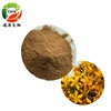 High quality 30:1 St.John's Wort Extract with best price