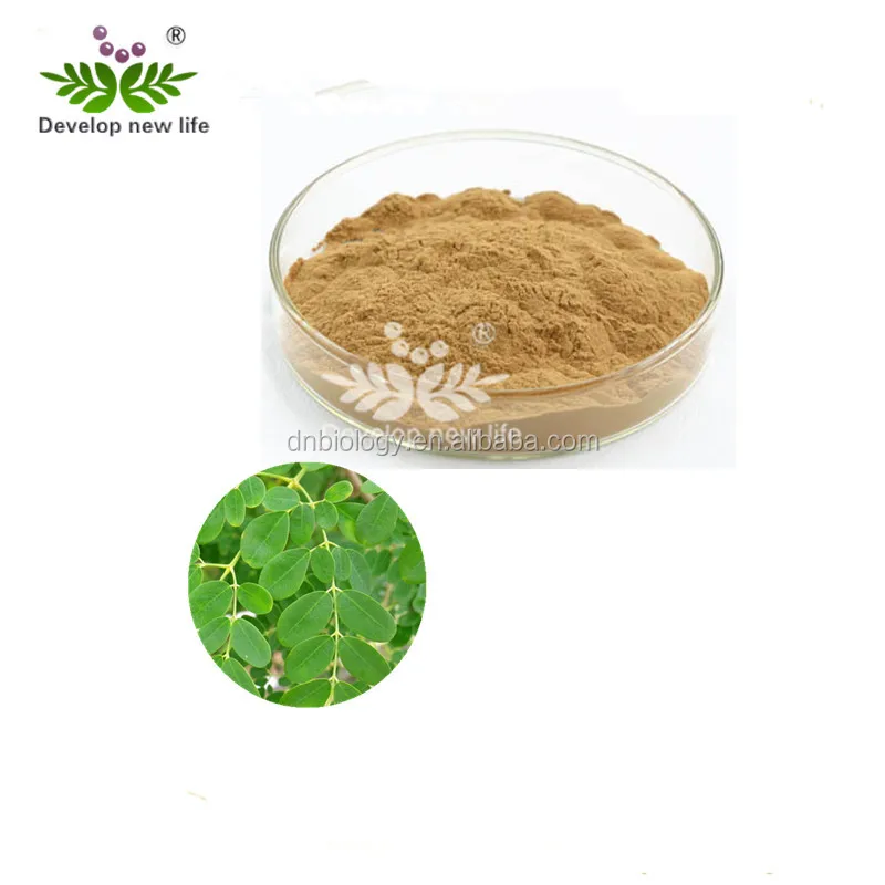 Good price Moringa Leaf Powder Price / Moringa Extract / Moringa Seeds Prices
