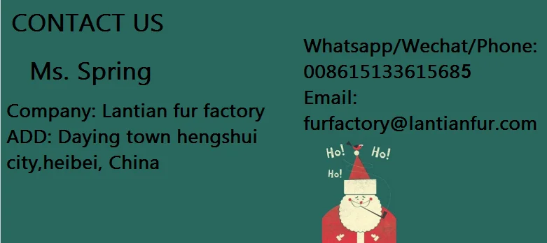 contact us
