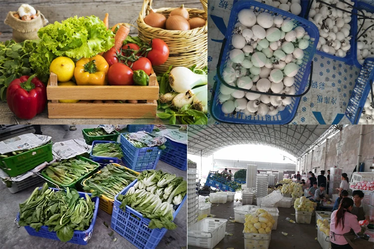 vegetables cooling.jpg