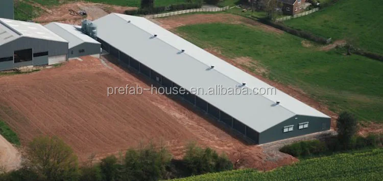 Chicken farm building for Malaysia, chicken breeding house