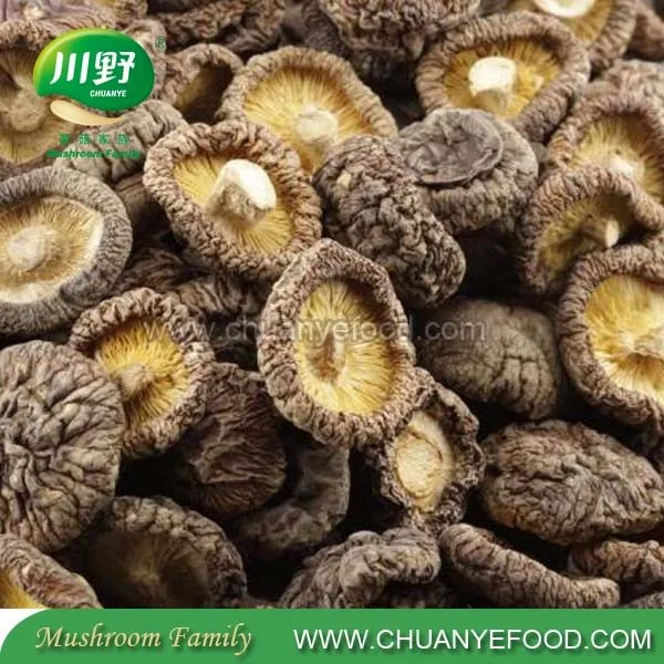 High Quality Dried Shiitake Mushroom Buy Dry Shiitake Mushroom,Funghi Shiitake,Cultivated