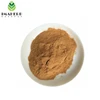 Pure Natural Factory Supply 100% Natural High Quality Folium Ginkgo Leaf Extract/ Gingko Biloba Leaf P.E