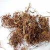 Dried Aster tataricus Linn.; radix asteris herb moisture lungs and stop coughs
