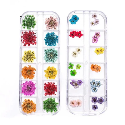 

Factory wholesale nail flower 3d dry flowers art dried for sale, 12colors/box