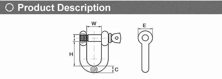 A2-70 304 Stainless Steel D Shackle