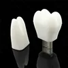 NEW design arrival Stock Products Status and PVC Material tooth shape usb flash drive