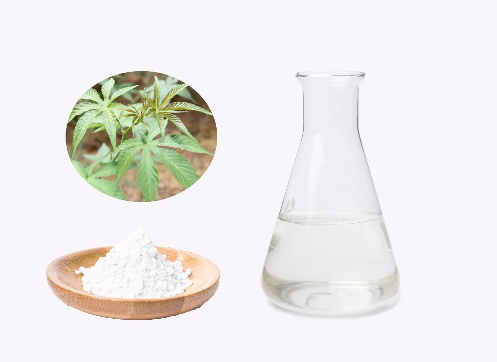 Rubus Suavissimus Rubusoside 70 Chinese Sweet Blackberry Leaves