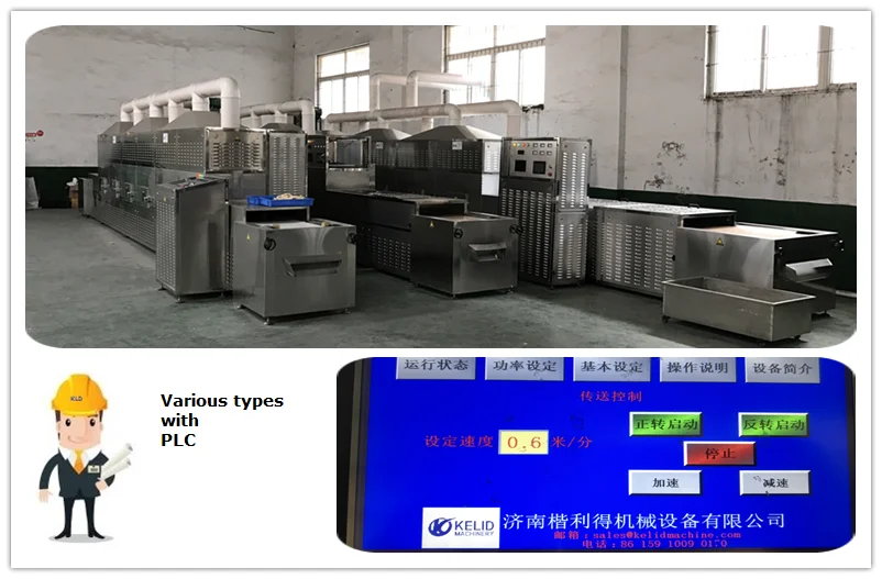 Continuous Shrimp Drying Machine