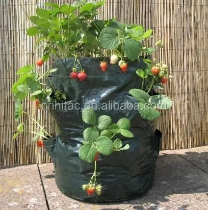 planter_bag_strawberry_planter_bag.jpg