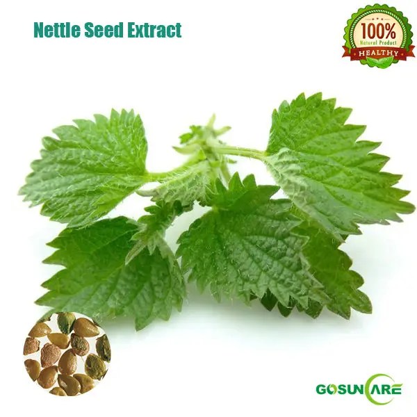 nettle seed extract