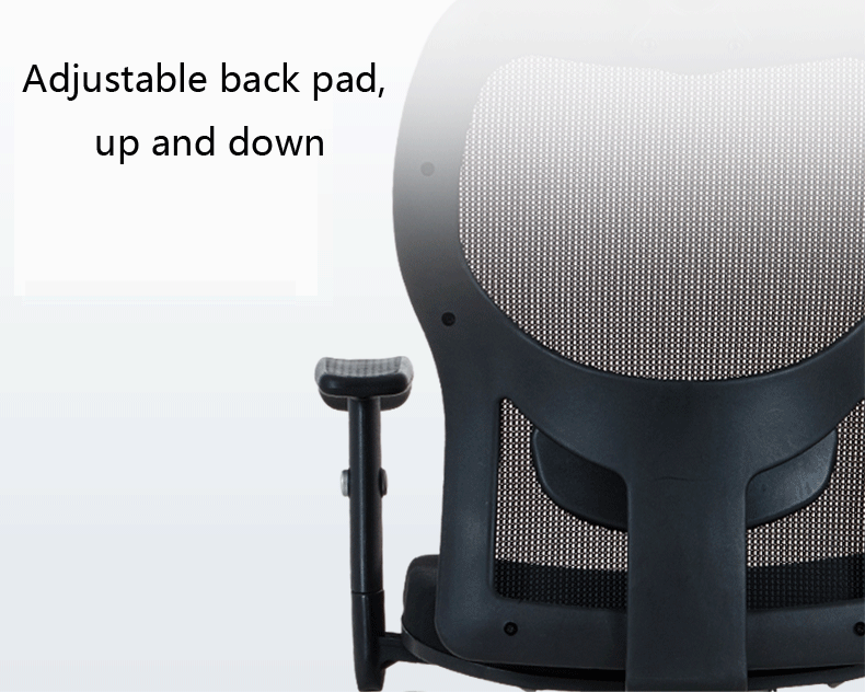 Adjustable-Back-height-adju.gif
