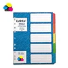 High Quality School Office Stationery Extra Wide A4+ Manila Assorted 5 Colour Index Tab Paper Divider With FSC