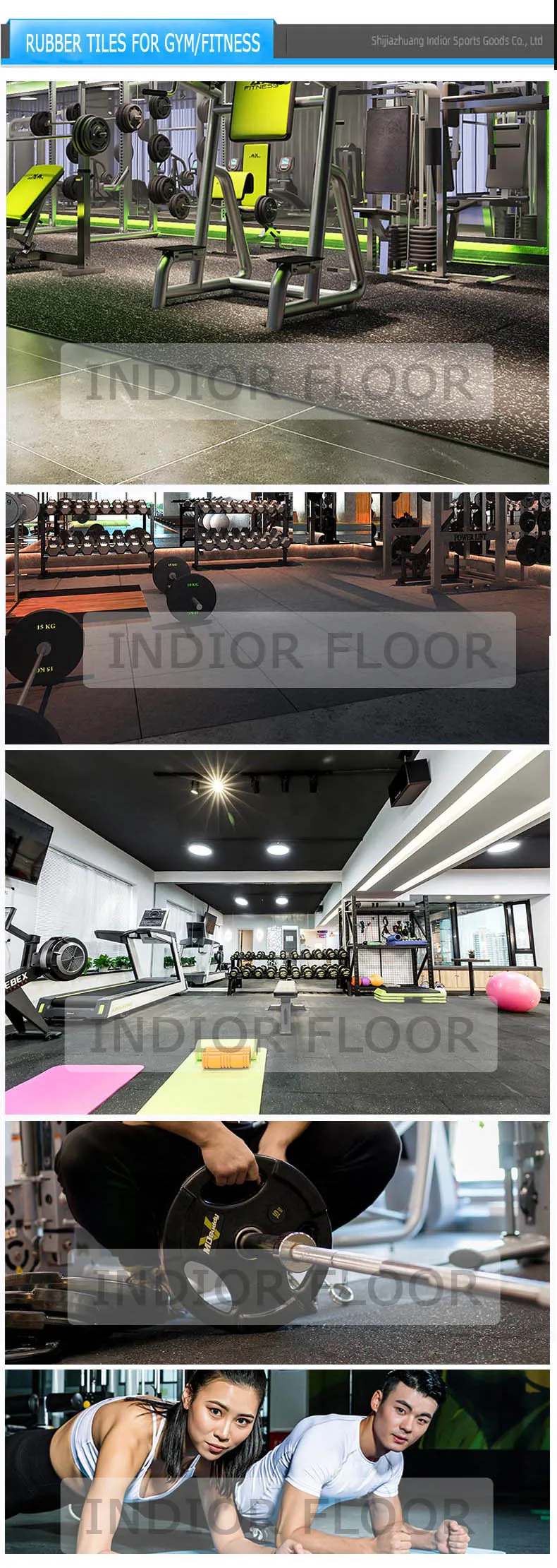 gym project LOGO.jpg
