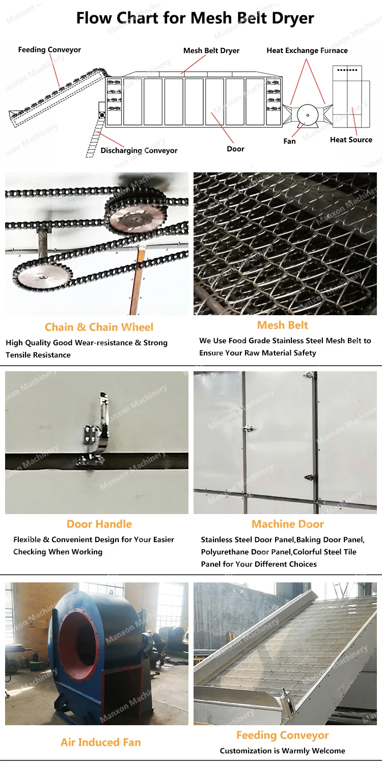 Belt Conveyor Mesh Belt Dryer