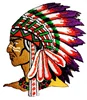 American Indian head embroidered applique iron-on patch for garment