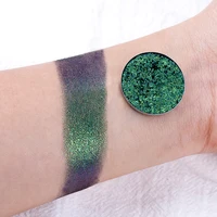 

Multi Colors Chrome Chameleon Powder Cosmetic Eyeshadow Palette OEM Makeup