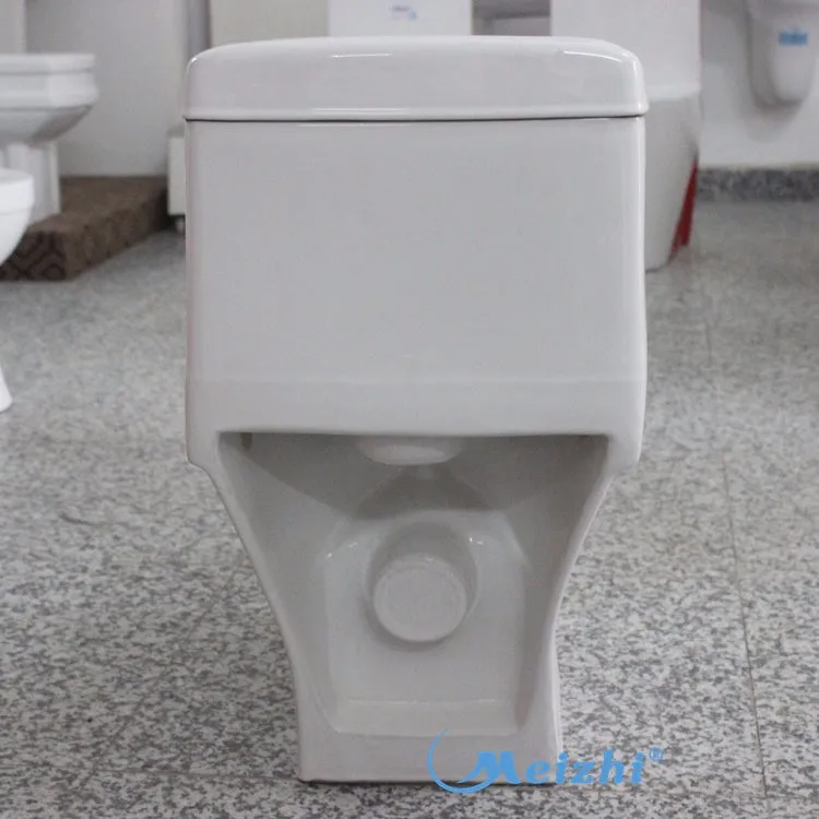 Washdown one piece S-trap or P-trap ceramic china toilet
