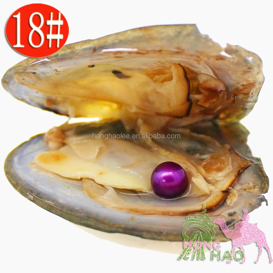 

Free shipping by dhl 2-5 days wholesale AAAA6-7mm vacuum packed freshwater pearl oyster, pearl color is 18# purple, a total of 2, N/a