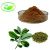 Wholesale Natural Yerba Mate Extract Powder/ Organic Yerba Mate Concentrate Extract
