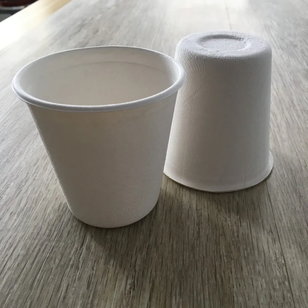 370毫升 13 盎司可生物降解纸杯