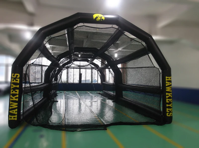 batting cage 2.jpg