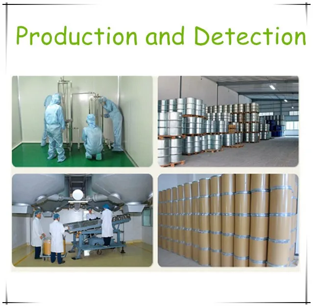 camphor oil prodution