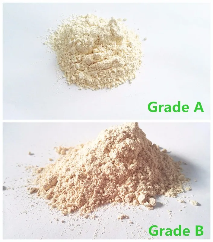 Free Shipping White Dehydrated Garlic Export from China