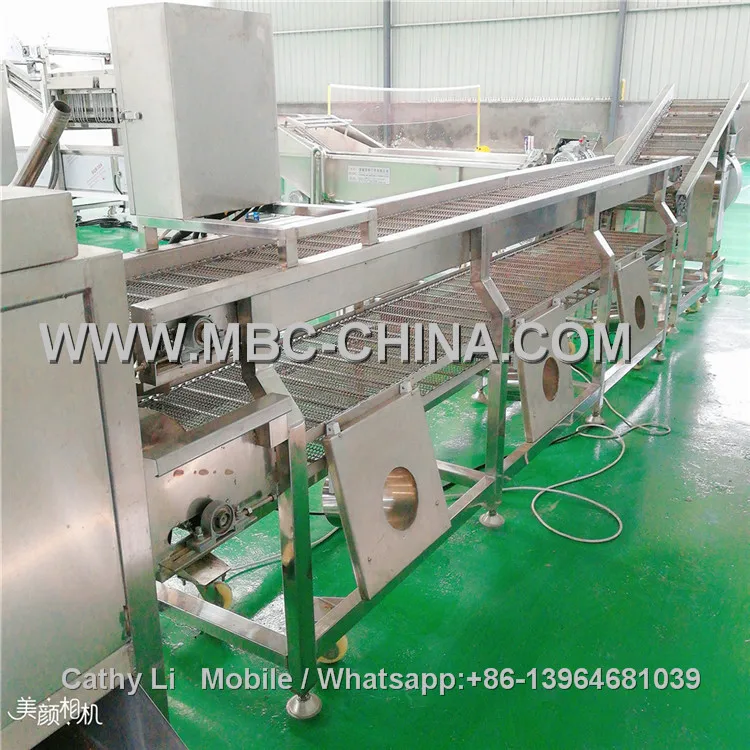 potato picking line.jpg