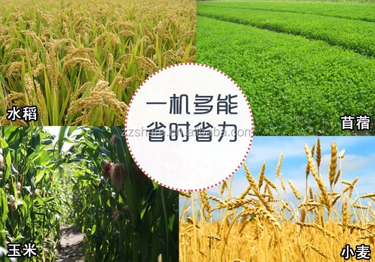 Фазы роста сои. Kwon mina. Iu 2023. Мин сою. Girls generation суён.