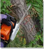 Chain Saw.jpg