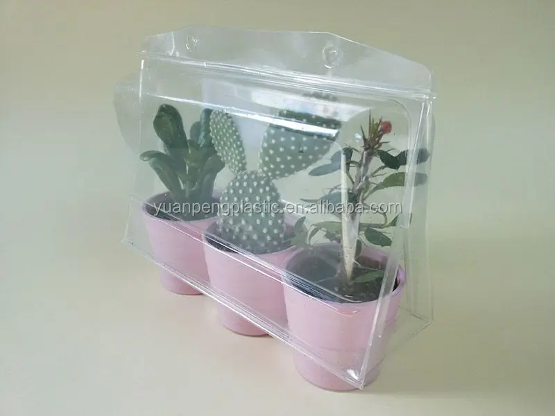 plant blister packaging