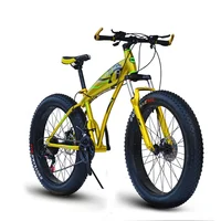 

Hot sale 2018 best selling fat tyre bike snow bike 4.0 big tyre bicycle