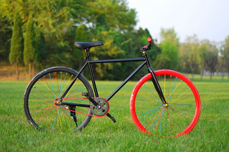 26 inch fixed gear wheel