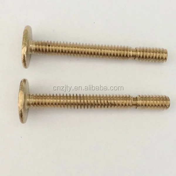 China Manufacturer Snap Closet Bolts Set Brass Bolts Oval Head Bolt