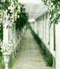 Hot selling studio background computer paint backdrop/ christmas wedding backdrop/event backdrop design