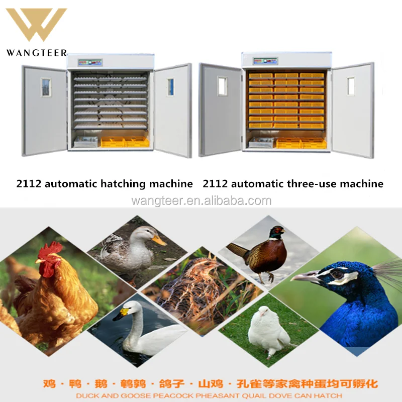 Intelligent incubator controller