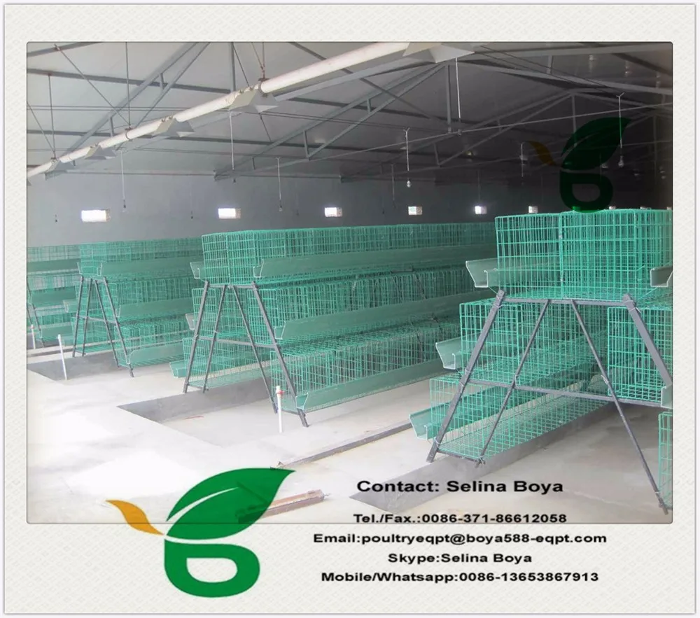 A Type Layer Chicken Cage 4 Floor 5 Door Cage 5000 Chickens Feeding