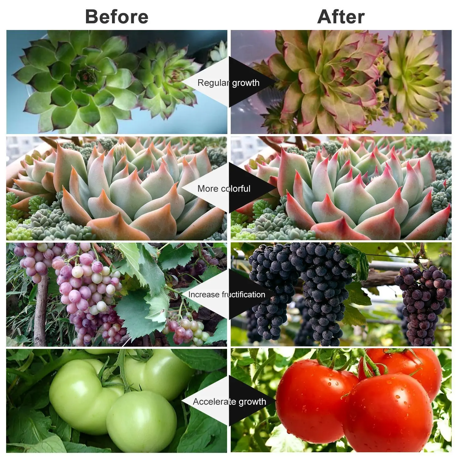 led grow light (9).jpg