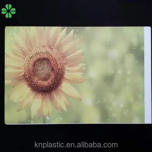 
high quality lead-free digital printing KN pvc forex sheets 